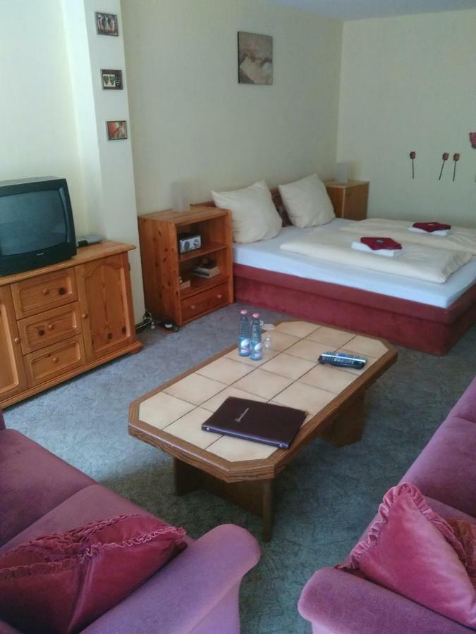 Hotel Bergschlosschen Zorge Εξωτερικό φωτογραφία